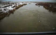 Освободили от сетей