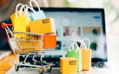 Мажилис рассматривает введение института оператора онлайн-торговли