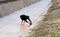 Казахстанец стал героем TikTok после спасения щенка