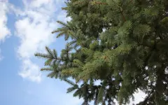 О погоде в Казахстане на первые дни апреля сообщили синоптики