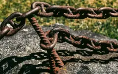 Жестокую расправу над собакой устроила жительница Атырау