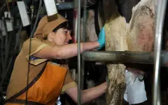 «Без кадров нет хлеба»: мажилисмены бьют тревогу из-за кадрового дефицита в сельском хозяйстве