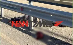 Оторвало голову в ДТП: водитель Lexus остается на свободе, семья требует справедливости