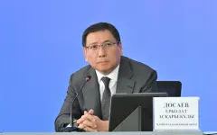 Ерболат Досаев лишился еще одной должности