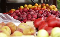 Очередная ярмарка выходного дня пройдёт в Астане