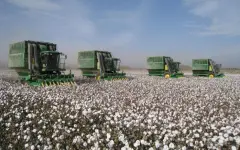 Права крестьянских хозяйств нарушались в Туркестанской области