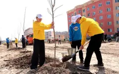 Чистота и порядок – в наших руках