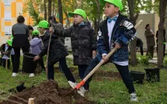 Из детских уст