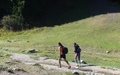 Чиновники нарушали права инвестора в Жамбылской области