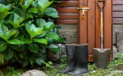 Популярные дачные ошибки, о которых мало кто знает