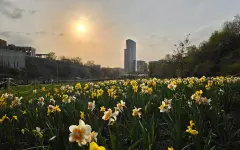 Алматы ждет жара до +27°С, Астану накроют дожди с грозами, в Шымкенте – лето