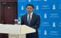 Какие еще госуслуги могут перевести в онлайн-формат в Казахстане