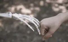 Древняя тайна Пекина: ученые раскрыли неизвестную ветвь человечества