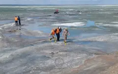 Рыбалка обернулась кошмаром для жителей Павлодарской области