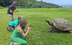 Старейшая черепаха мира стала объектом фейка