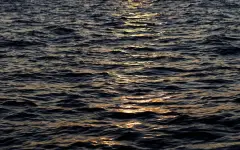 Спустя несколько дней поисков в Туркестанской области найдено тело ребенка