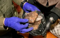 214 человек осудили в Костанайской области за наркопреступления