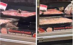 Птицы клюют мясо в витрине: инцидент в супермаркете встревожил астанчан