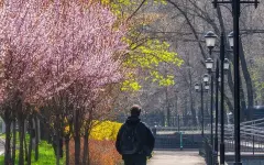 Улыбающиеся полицейские на самокатах в Алматы растопили сердца казахстанцев