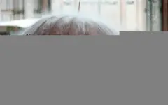 Сильные дожди и грозы пройдут на юге Казахстана