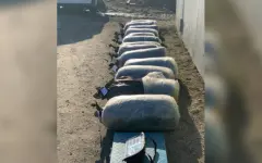 Крупную партию наркотиков изъяли в Павлодарской области