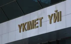 Правительство одобрило инвестсоглашение по строительству деревообрабатывающего завода в СКО