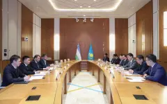 Казахстан и Узбекистан провели первое заседание по геологии и редкоземельным металлам