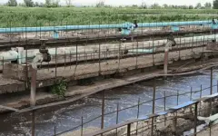 Сливали отходы: в сбросе стоков в реку Урал уличили российские предприятия