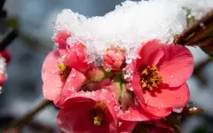 В Казахстане резко испортится погода – прогноз на 8 апреля