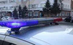 Незаконную перевозку крупной партии мяса пресекли в Астане