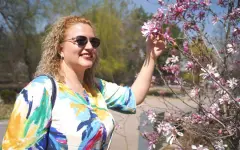 Магнолии цветут