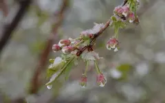 От тумана и грозы до снега: полный прогноз опасной погоды в Казахстане на 10 апреля