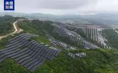 Крупнейший в Юго-Восточной Азии проект солнечных батарей подключили к сети