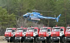 Учения с имитацией лесного пожара показали Премьеру в «Семей орманы»