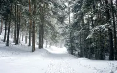 Кофе и чай в обмен на мусор раздают туристам в горах Алматы