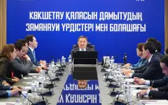 Мы обязаны исключить точечную застройку: в Акмолинской области создан Центр урбанистики