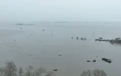 Возмещение вреда фермерам во время ЧС: внесены изменения