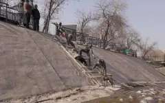 Отвратительное лицемерие - казахстанцы предложили убрать памятник спасению собаки из-за законопроекта об эвтаназии животных