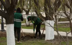 Глава государства напомнил о значимости «Таза Қазақстан»