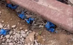 Свалка бахил у поликлиники возмутила астанчанку