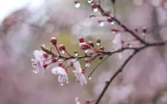 Сильный дождь, снег и туман ожидаются в регионах Казахстана