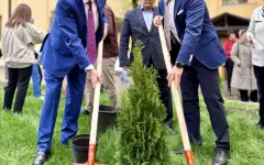 Новые саженцы у «Ғылым ордасы»