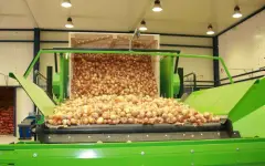 Горе луковое в Шенгельды