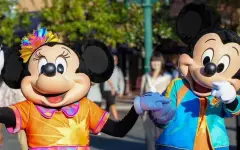 Американская семья тайно провезла ребенка в Диснейленд