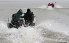 Масштабные рейды против браконьеров проходят в Казахстане