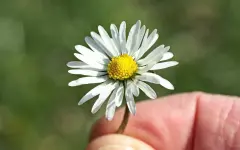 Что ждет знаки зодиака 11 апреля: от удачи до испытаний