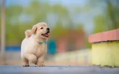 Что ждет знаки зодиака 12 апреля: от гармонии до неожиданных решений