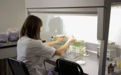 425 научных организаций и новое поколение ученых: как развивается отрасль