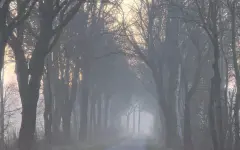 Туман, грозы и шквальный ветер накроют Казахстан во вторник