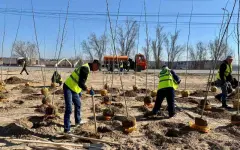 Пополняя зеленый фонд